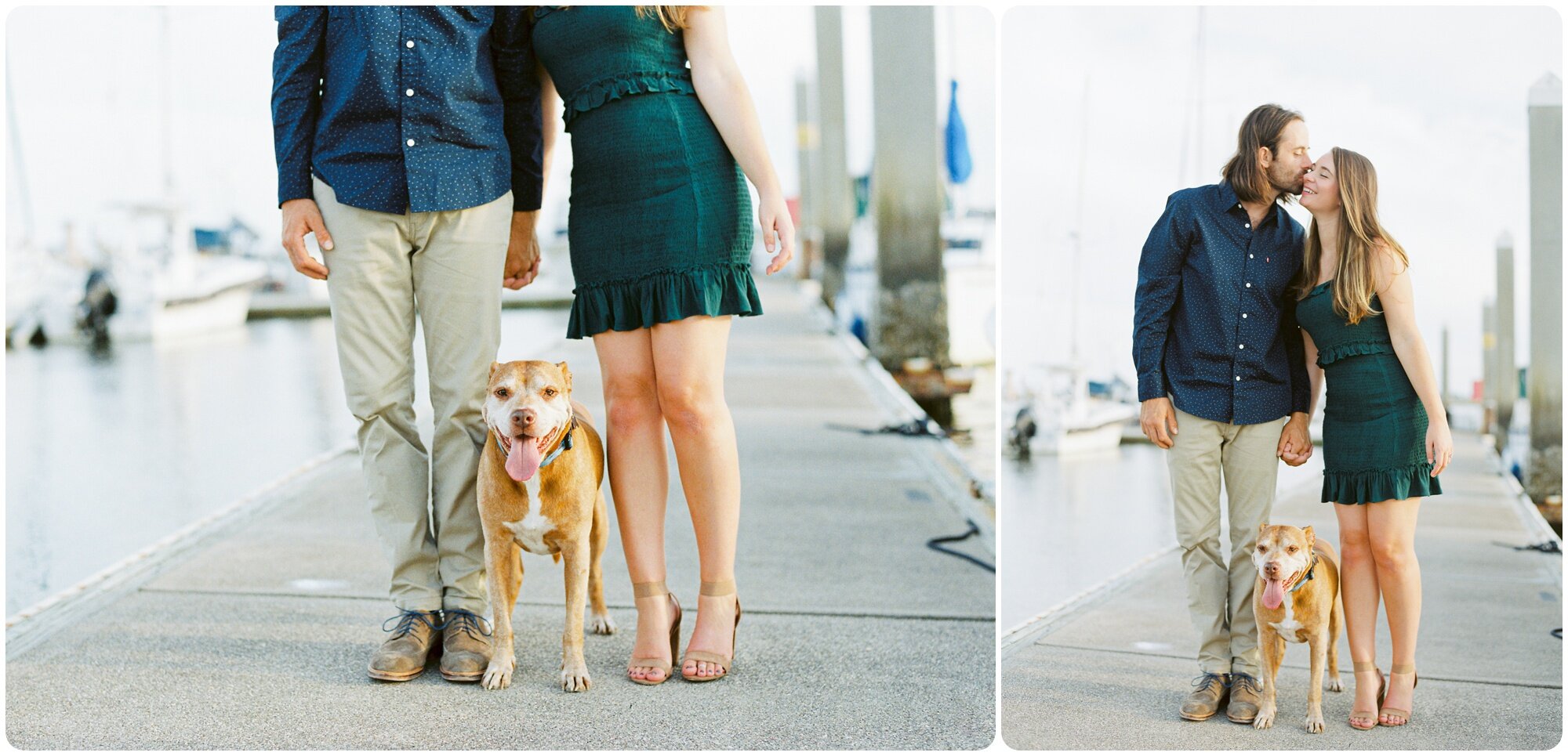 outdoor_pitbull_rescue_puppy_engagement_session_sunset_sail_kailee_dimeglio_photography_0005.jpg