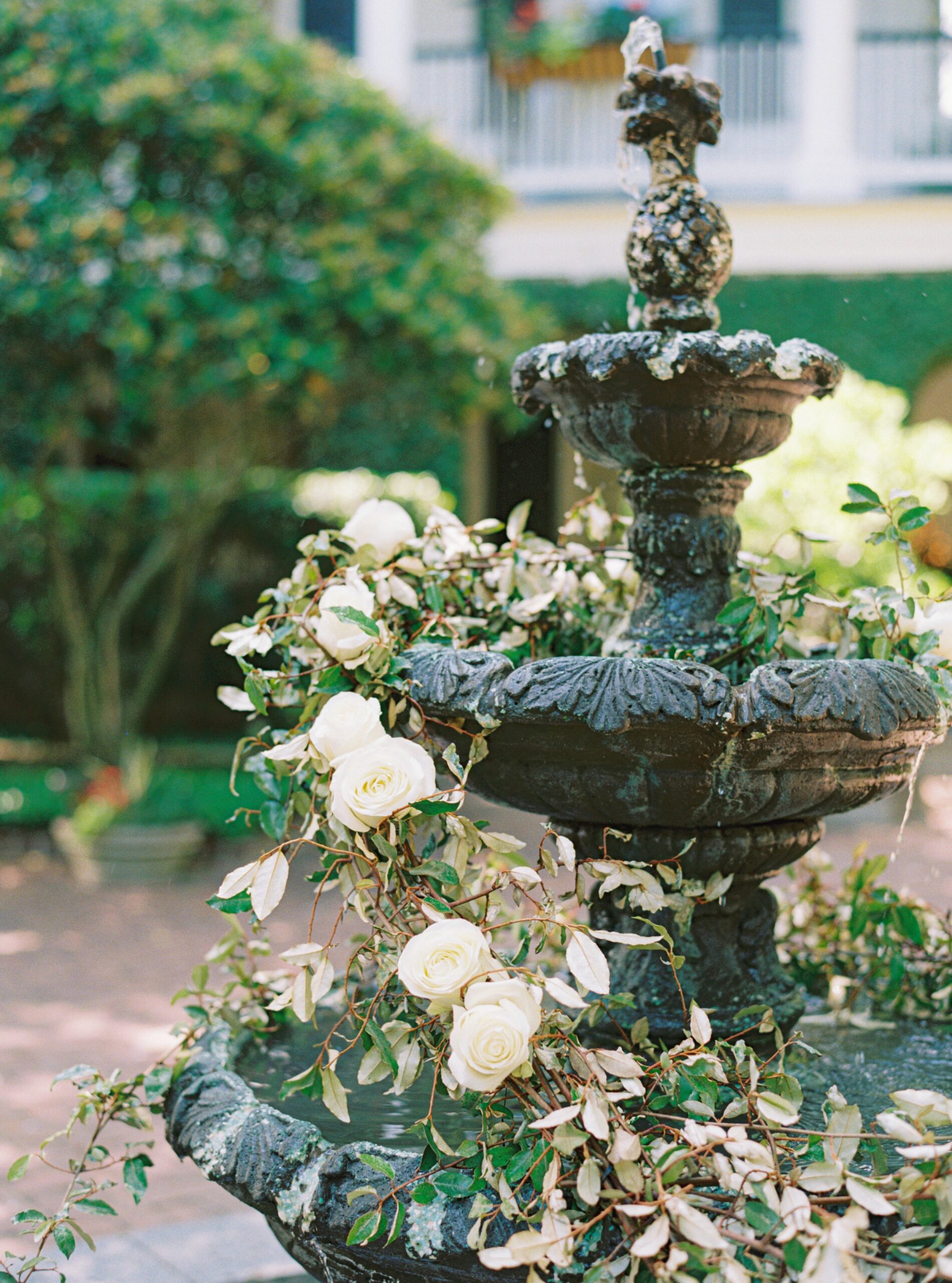 White roses and greenery in antique fountain. Floral patio decorations at Thomas Bennett House.