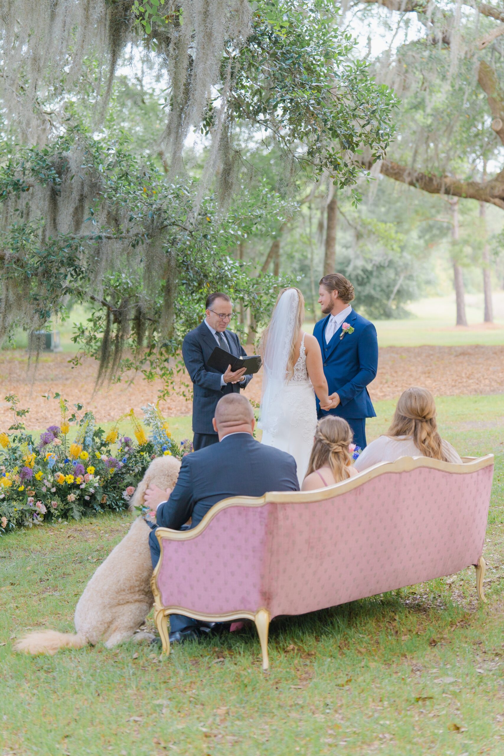 spring wedding ceremony with pink vintage couch and goldendoodle