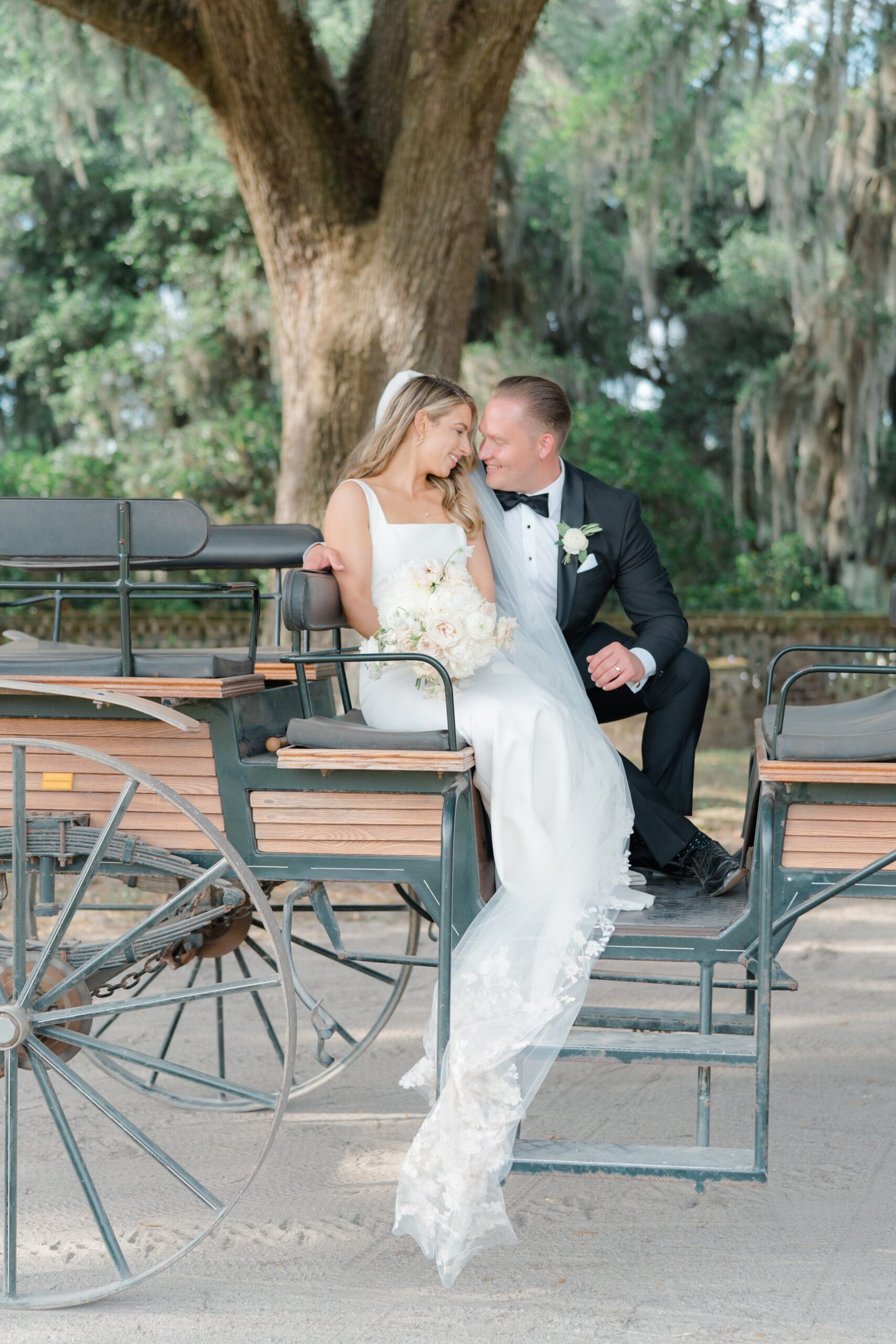 Middleton Place horse and carriage newlyweds