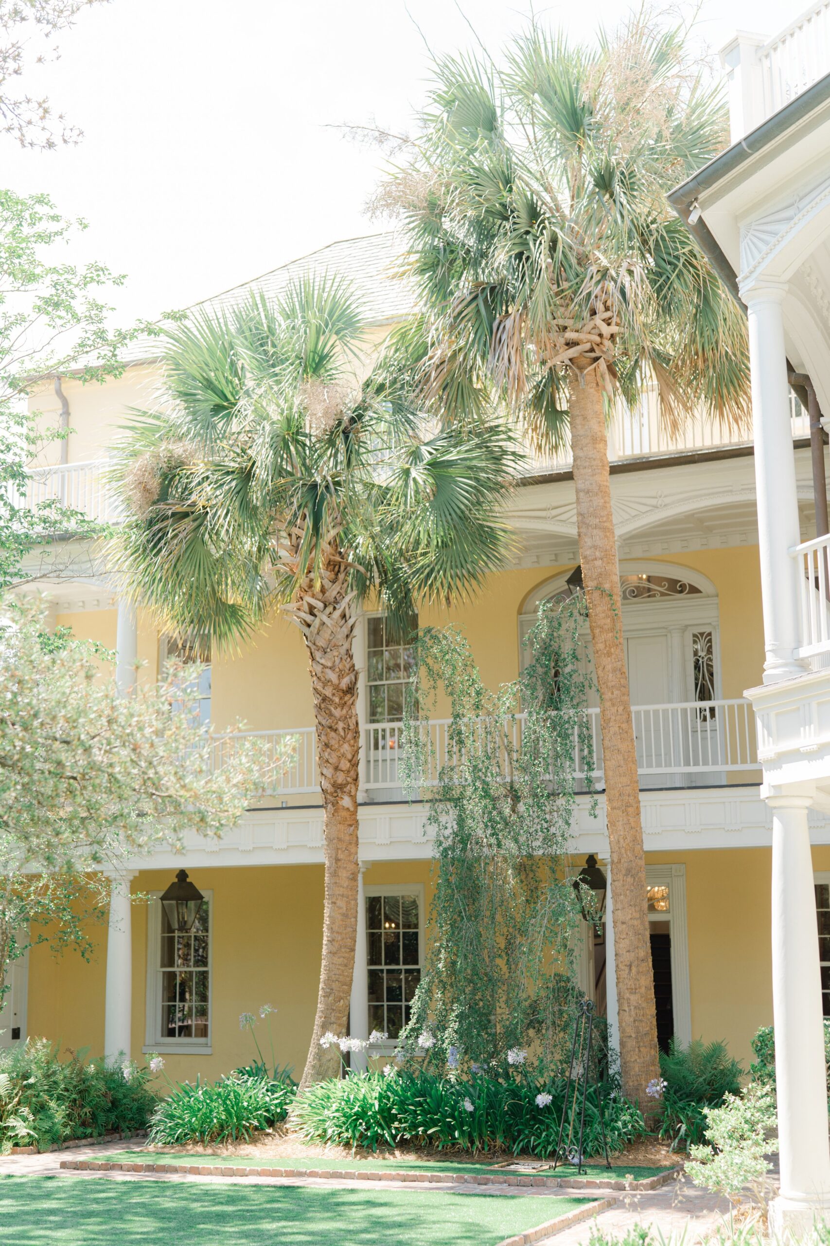 Palm trees at wedding venue in downtown Charleston. William Aiken House weddings