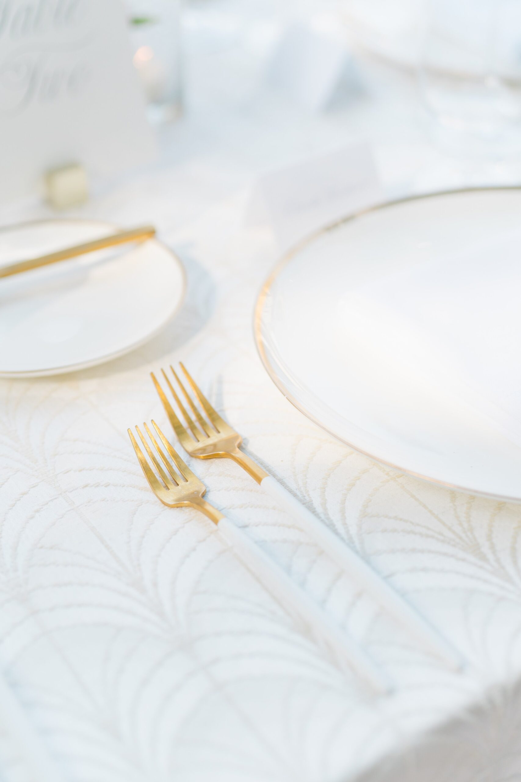 gold tipped silverware with white handles with dreamy detailed table cloth. outdoor charleston wedding reception
