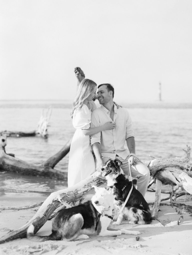 Couple sitting on driftwood at the beach with their dogs. 