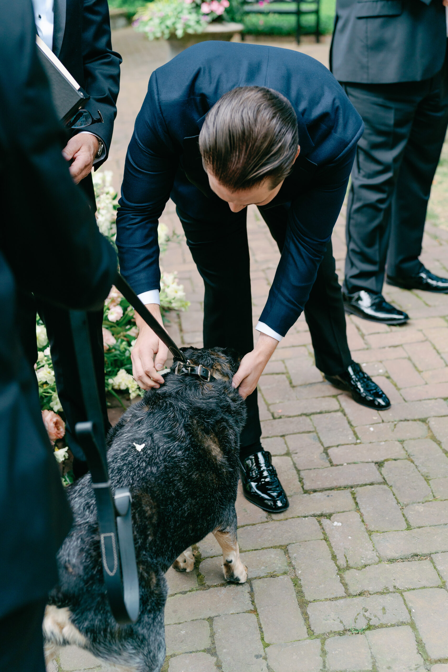 Groom pets his dog at wedding ceremony. 