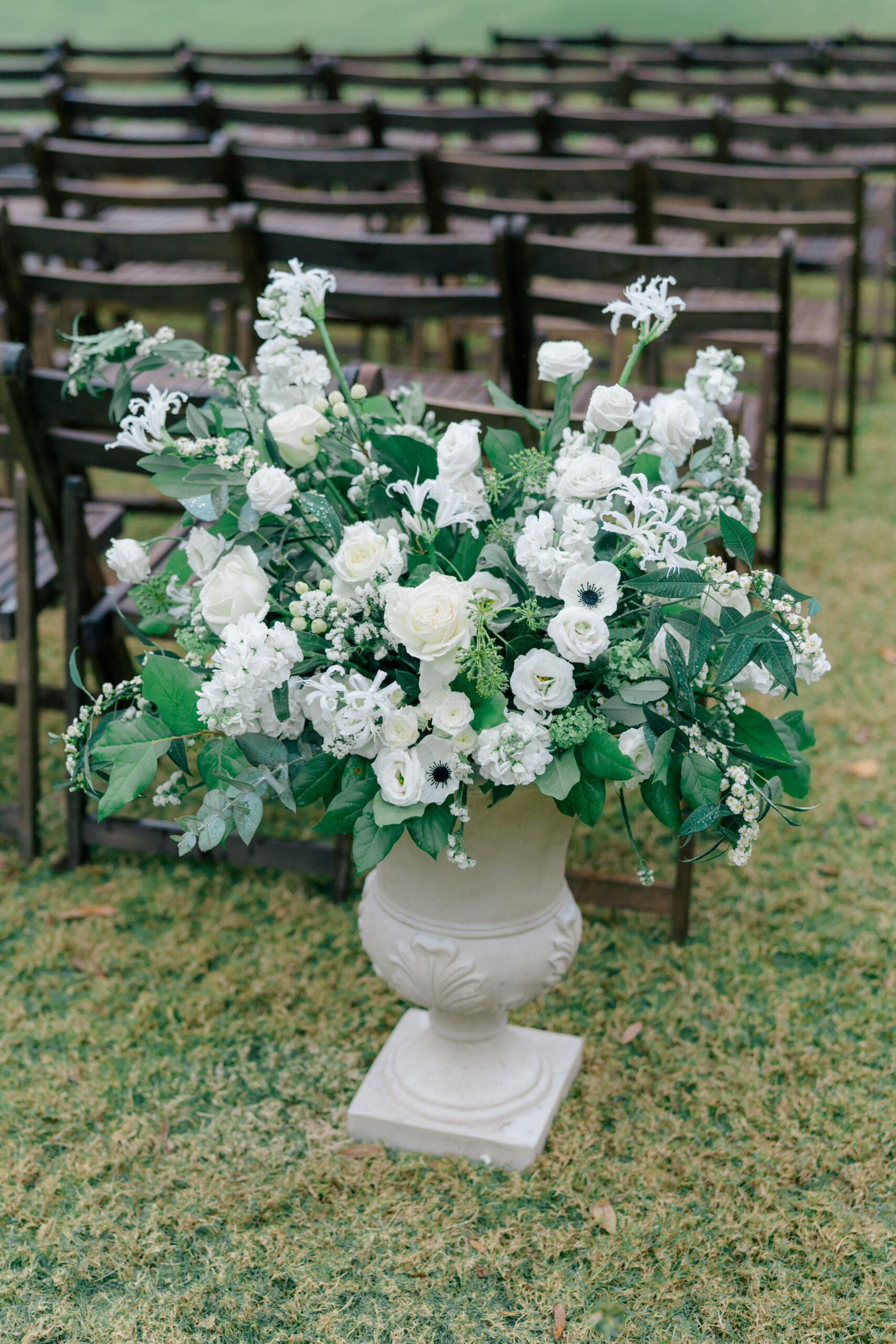 White and green short pedestal flowers. 