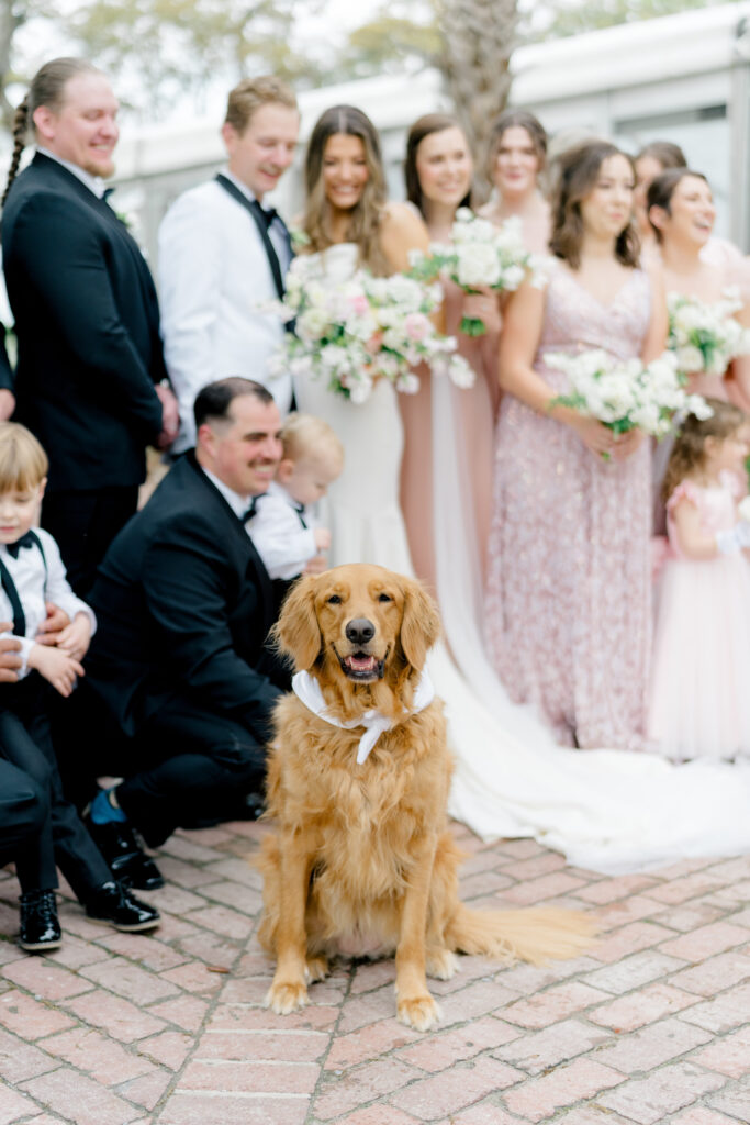 Include your dog in your wedding day photos. River House at Lowndes Grove. 