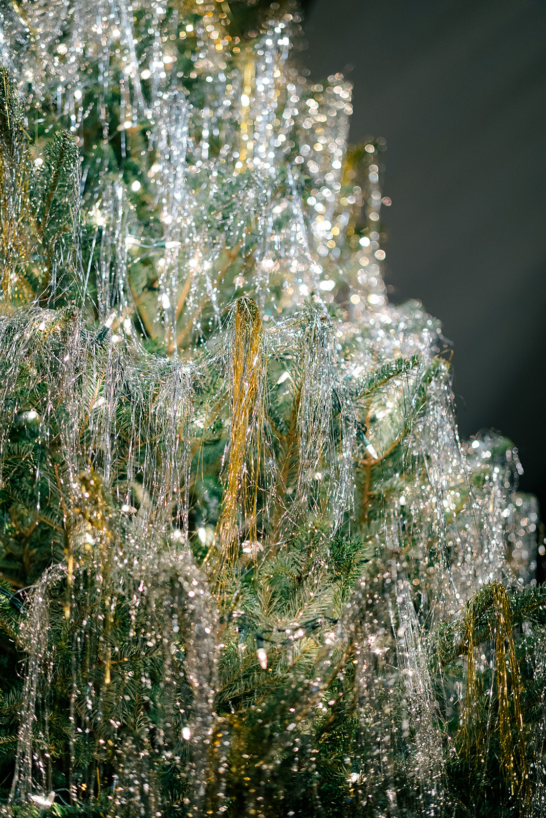 Christmas tree with tinsel