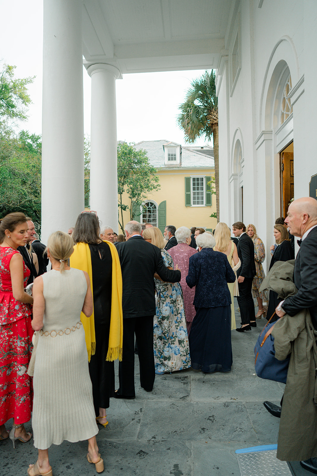 Wedding guests mingle after wedding ceremony. Downtown Charleston wedding with palm tree in background. 