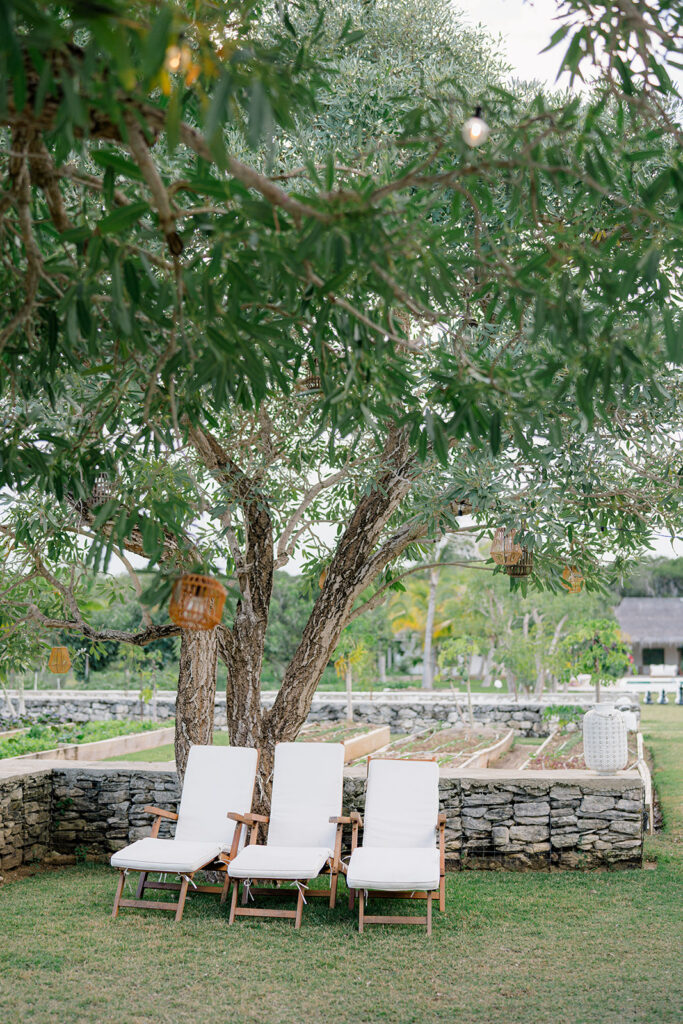 White lounge chairs at the farm. Bahamas destination wedding welcome dinner. 
