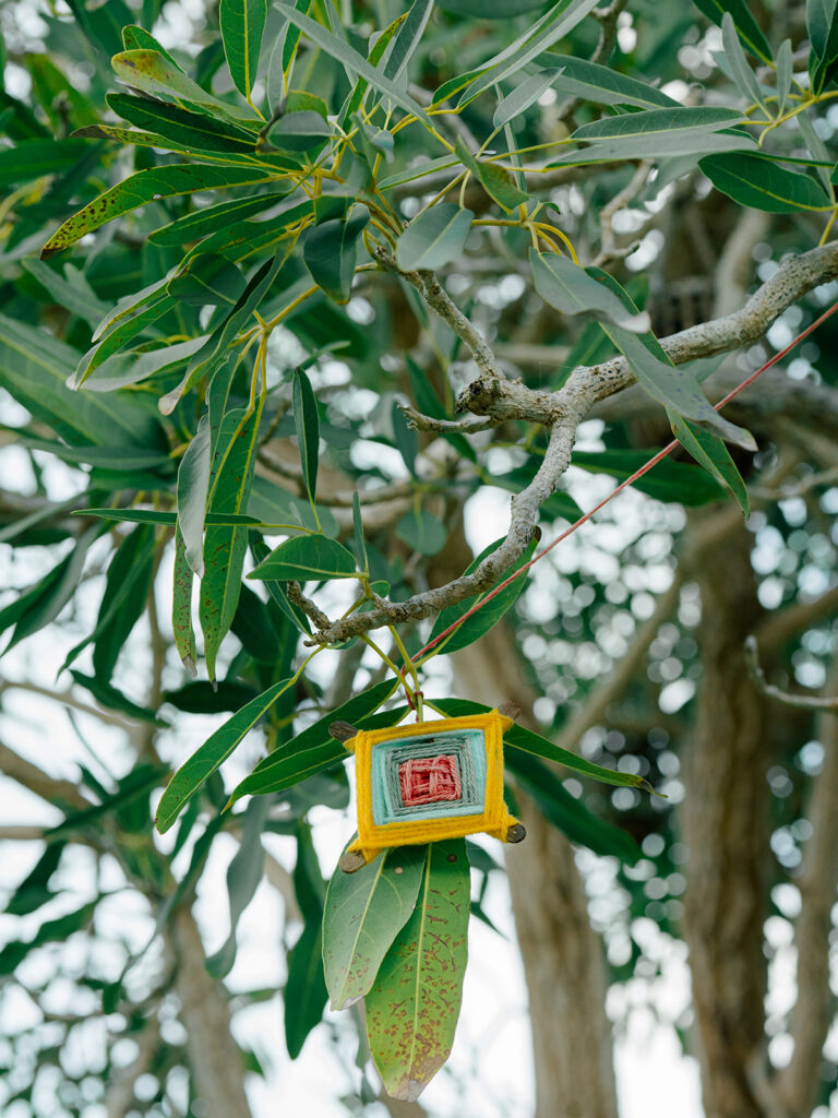 Yarn dream catcher hanging in tree. 